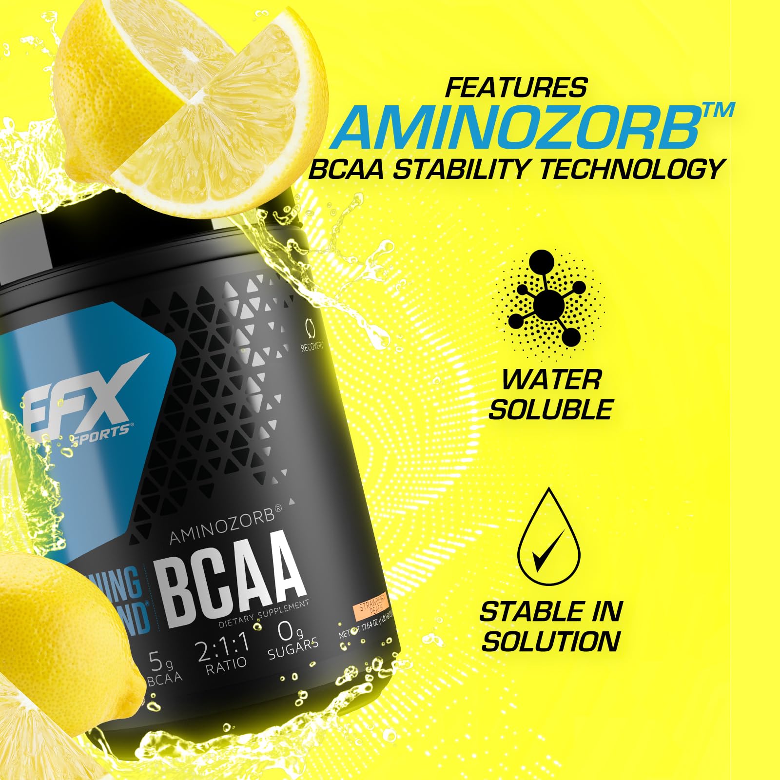 EFX Sports Training Ground BCAA Fully Stable, Highly