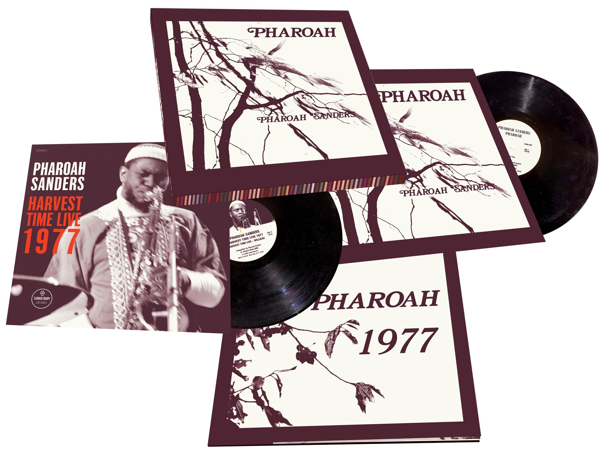 Pharoah