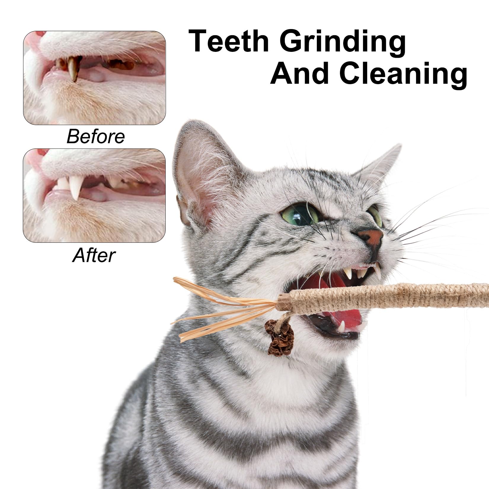 Bolas De Pared De Hierba Gatera, Juguetes Dentales Multiusos Para Limpieza  De Dientes Seguros Y Saludables Para Gatos, image size:1650x1650
