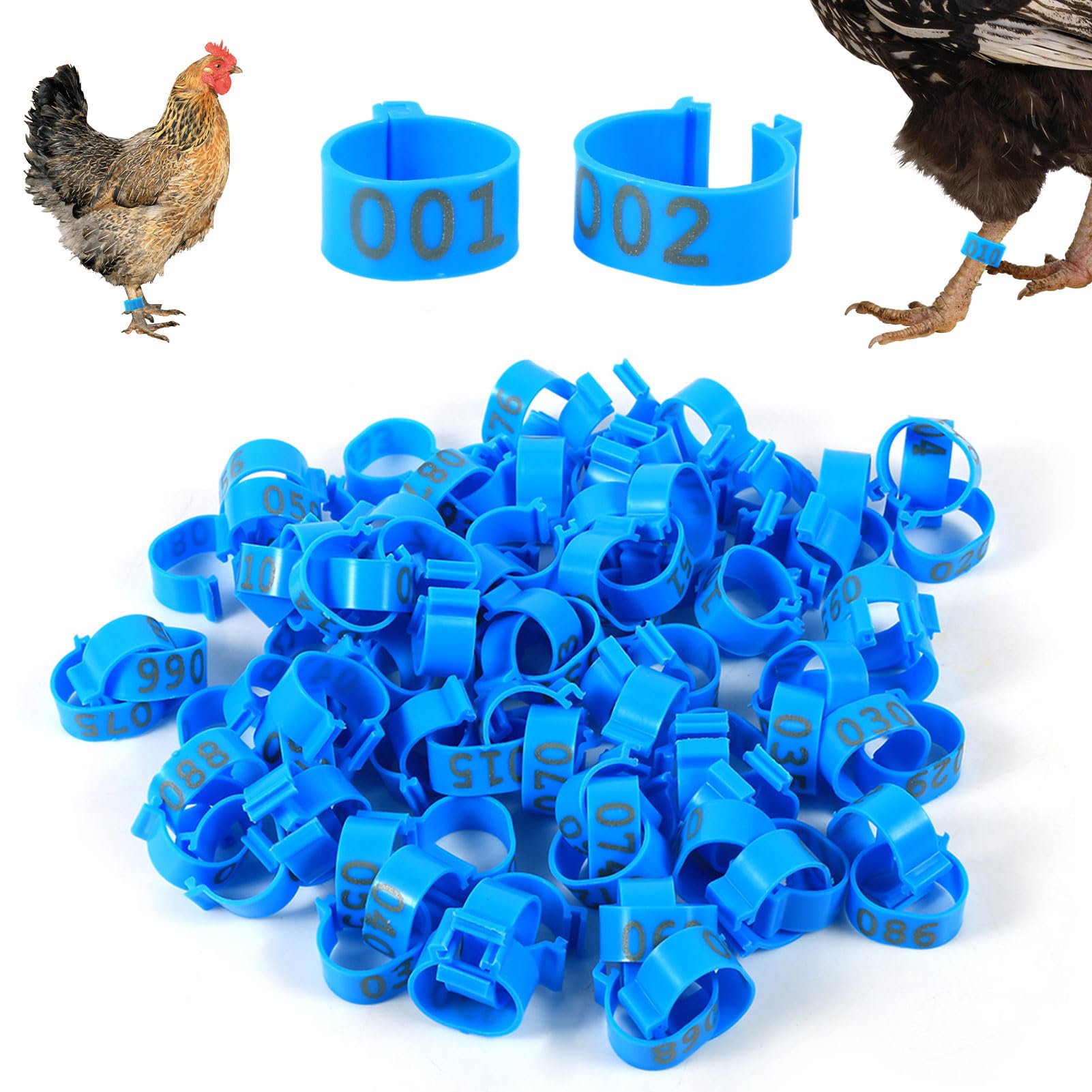 100PCS Chicken Leg Bands, 001-100 Numbered Colorful Chicken Birds Poultry Identification Leg Bands Bird Leg Bands for Pigeons Ducks Quail Goose Gamefowl Turkey(Blue)