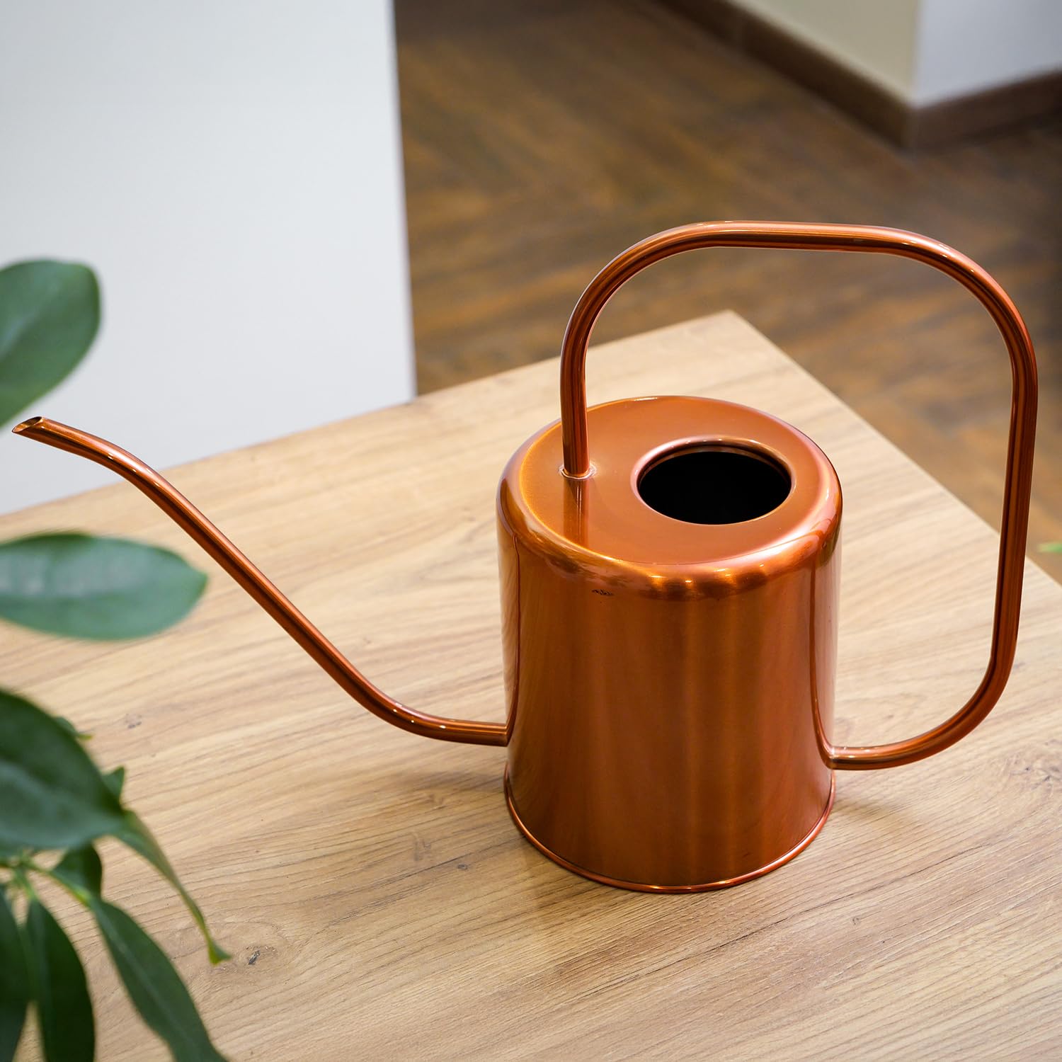 Plexon Metall-Gießkanne für Zimmerpflanzen, 1,5 l, Edelstahl, langer Auslauf, Gießkanne für den Außenbereich, Haus, Pflanze, Blume, Garten