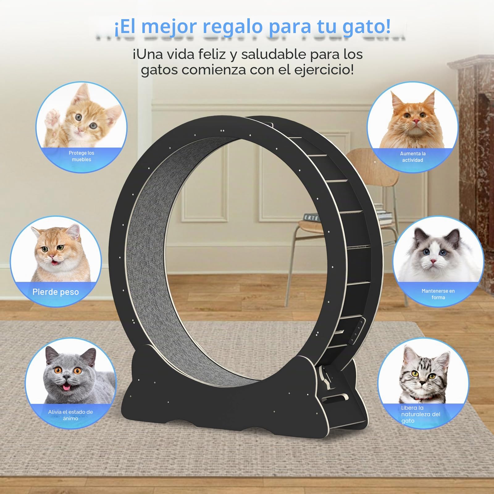 Rueda de Correr para Gatos, 110cm Rueda para Gatos de Madera, Grande Rueda Ejercicios de Gatos de Interior, Súper Silencioso, Juguete para Mascotas Gatos (Negro)