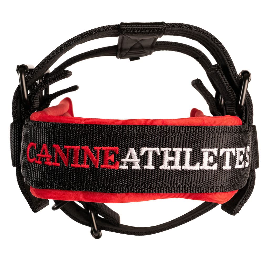 Canine Athletes Elite-HD V3 Heavy Duty Working Dog Weight Drag Pulling Harness w/Tracer, Strength Training (Medium)