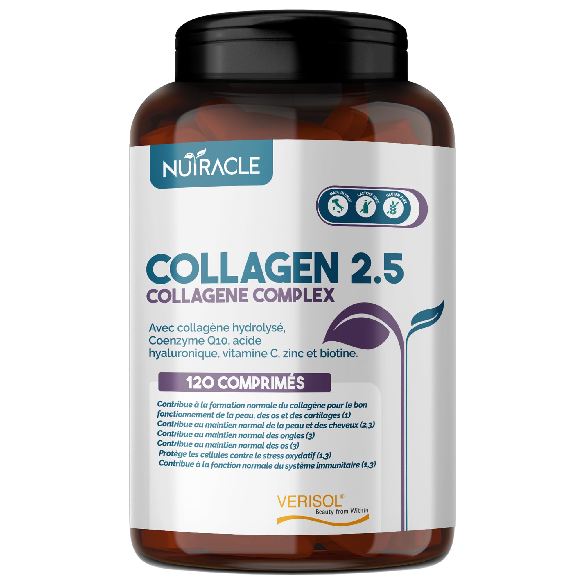 Collagène Hydrolysé Verisol® 2500 mg + Acide Hyaluronique + Coenzyme Q10 - Compl