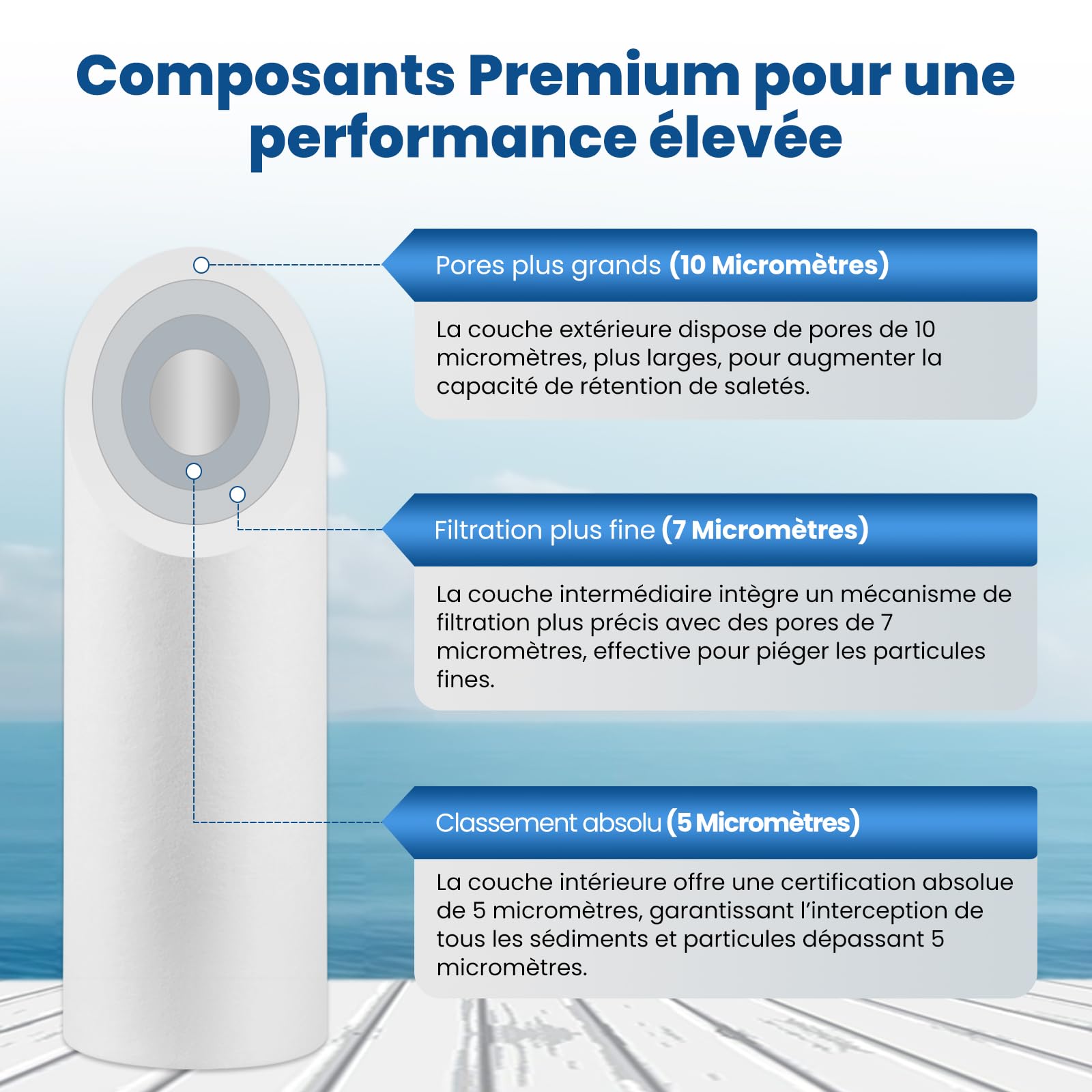 PUREPLUS Filtre à eau à sédiments 5 microns 10" x 2.5" Lot de 4 Cartouches Compatible Big Blue