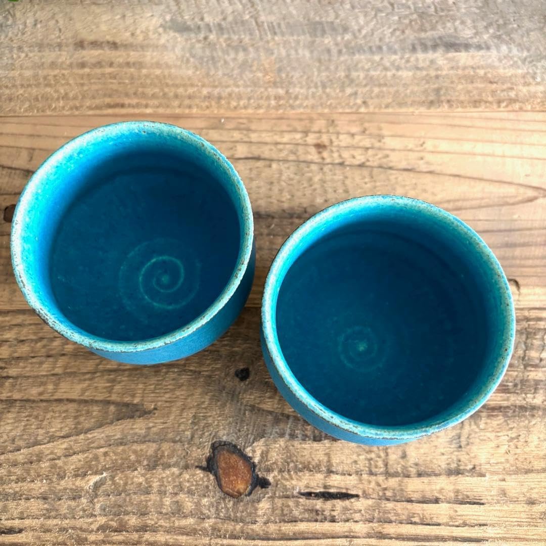 新品☆竹内靖之師：山本陶秀☆備前面取り急須（宝瓶）B 2025