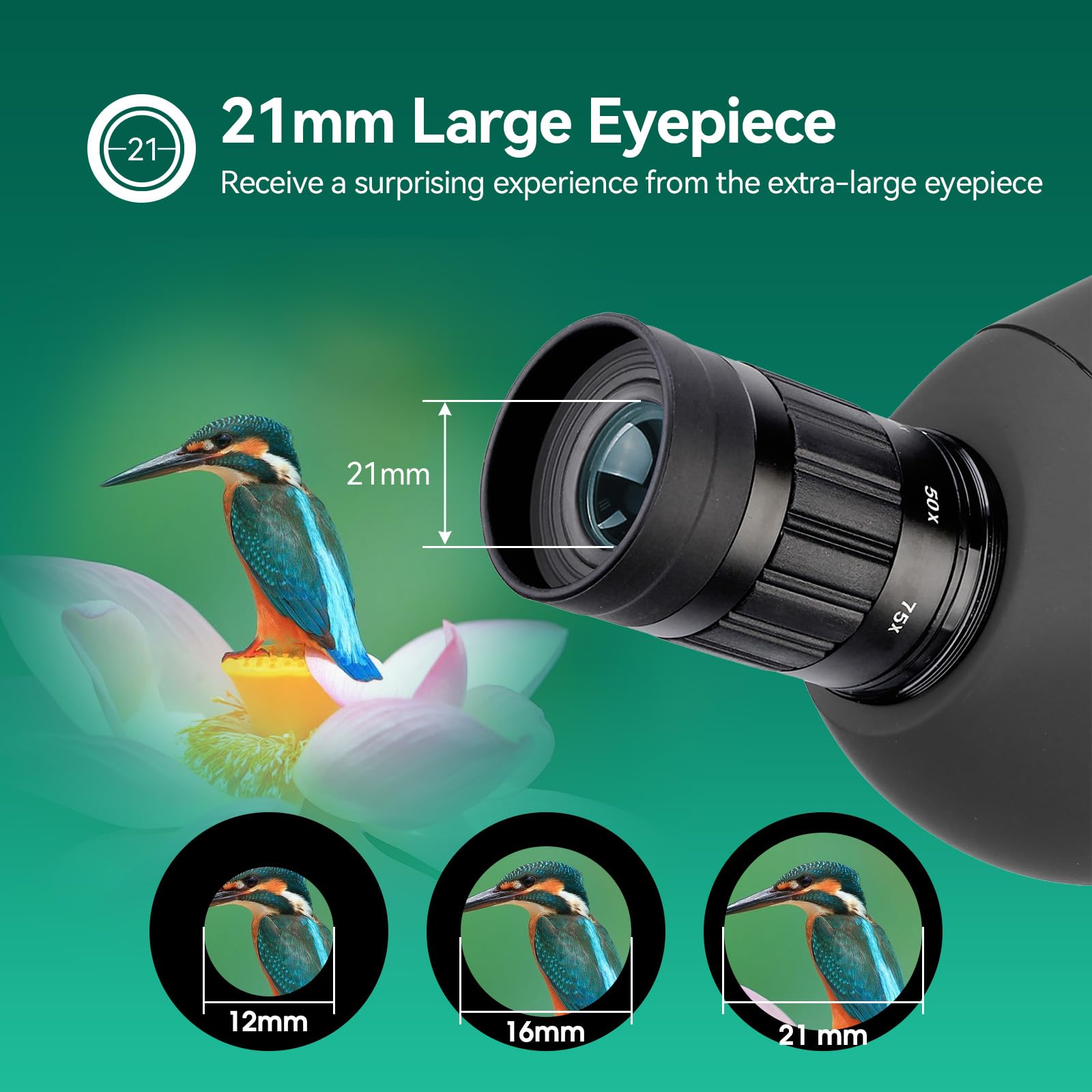 Amazon.com : SVBONY SV28 25-75x70 Spotting Scopes, HD Spotting