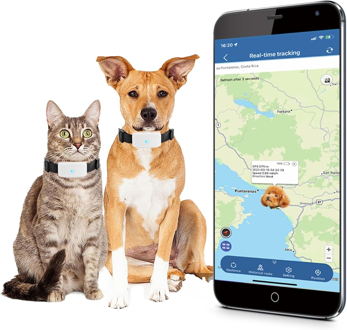 Invoxia GPS Pet Tracker LWT2 - Traceur GPS pour chats et chiens