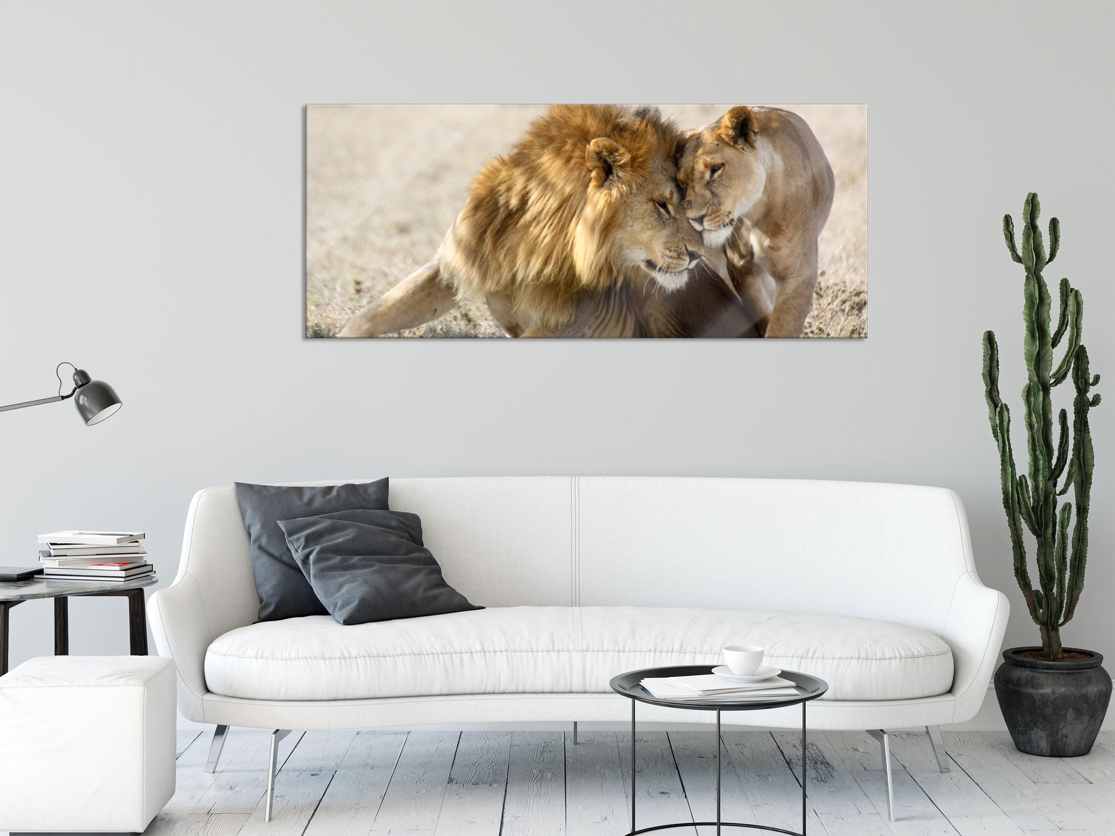 Quadro in vetro panoramico, murale in vero vetro, coppia di leoni