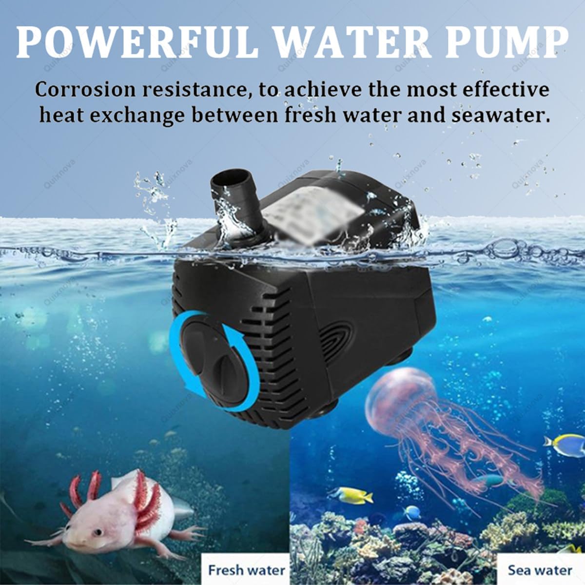 Refroidisseur d'aquarium 300 L, 600 W, 1/3 CV, équipement hydroponique avec Tuyau et Pompe à Eau pour Aquariums familiaux, Fruits de mer, marchés et hôtels.