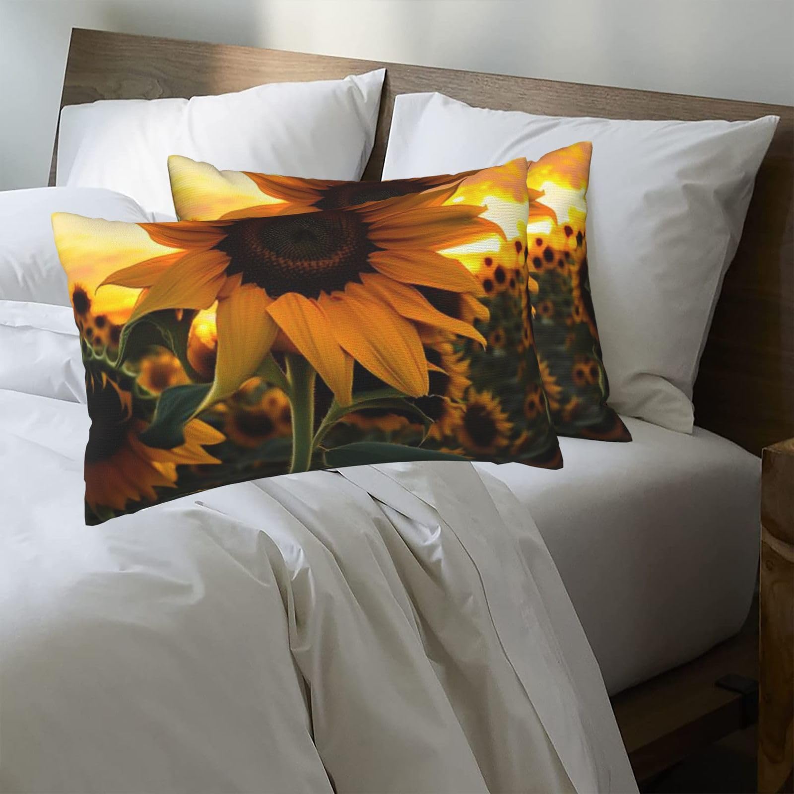 Farm Sunflower Standard Pillowcases 20x30in Sets of 2, Ultra Soft Microfiber Plush Pillow Cases Comfort Decorative Throw Pillow Cover with Hidden Zipper for Bedroom, Sofa, Couch