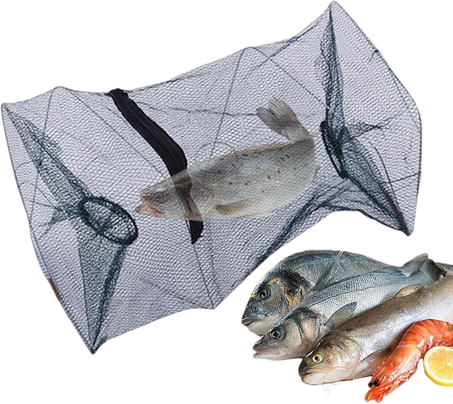 Bohany Minnow Traps for Fishing, Lobster Shrimp Collapsible