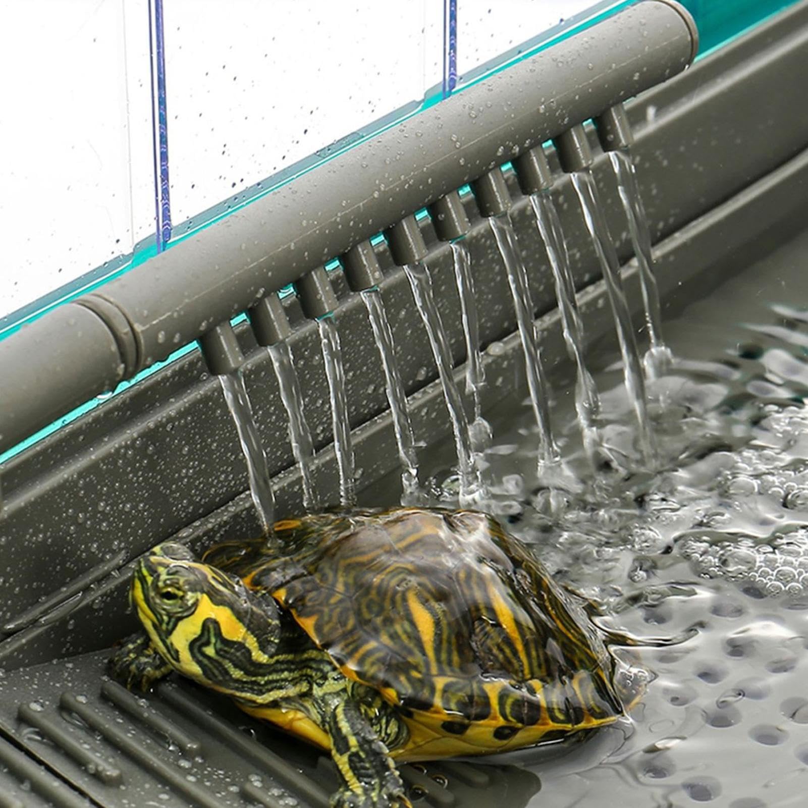 Acuario para Tortugas | Caja de Hábitat Interior Multiusos con Filtro | Hábitat Natural para Hierba Blanca