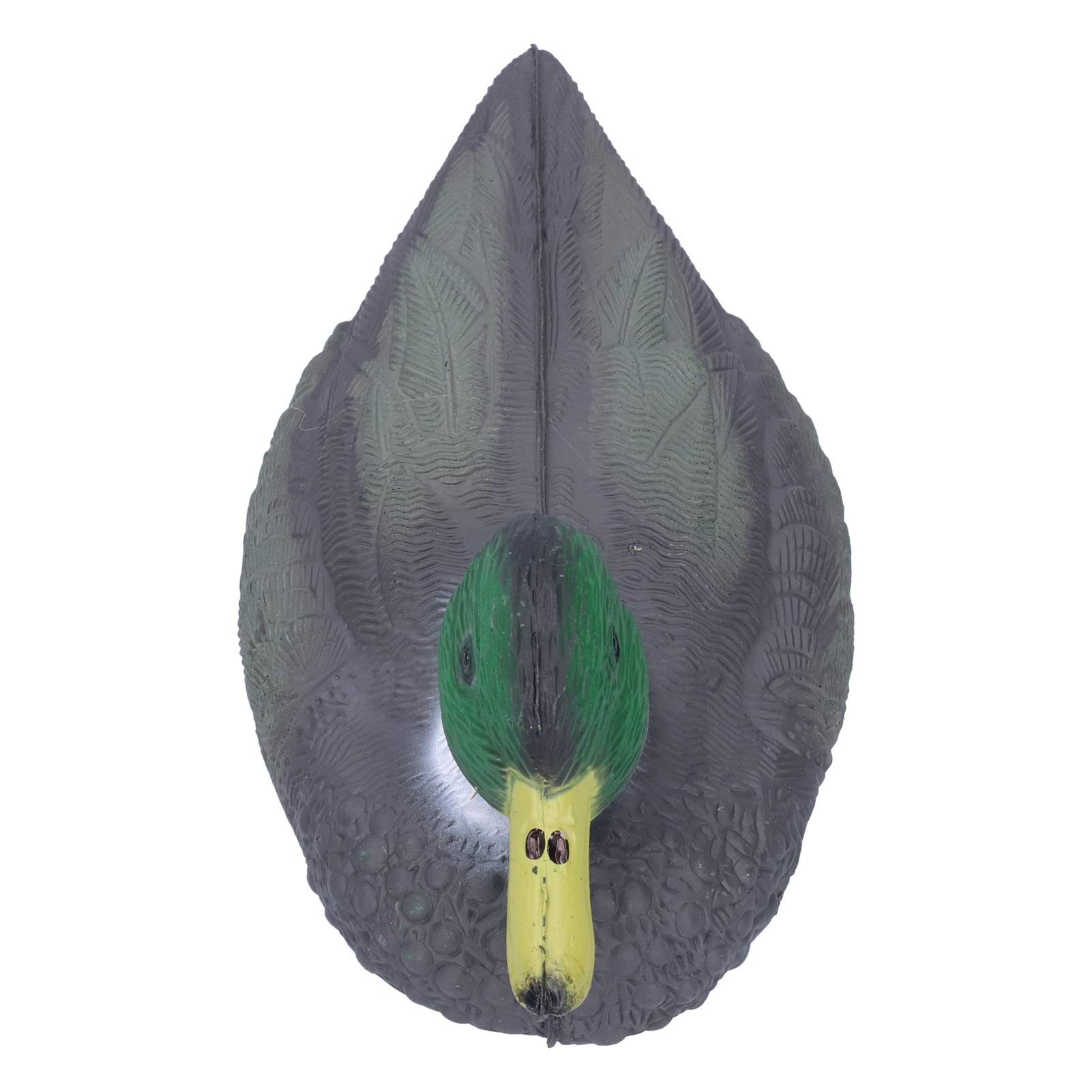 Avery Finisher Swimmer Shoveler Drake