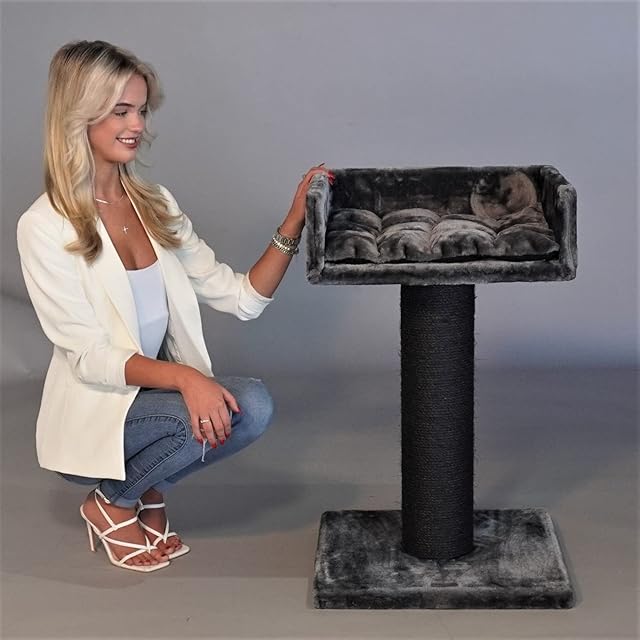 RHRQuality Cat Scratching Post Large Cats Stable XXL Ragdoll Lounge Blackline Dark Grey Cat Scratching Post Also for Large Heavy Cat Climbing Tree Scratching Furniture Large Thick Trunk