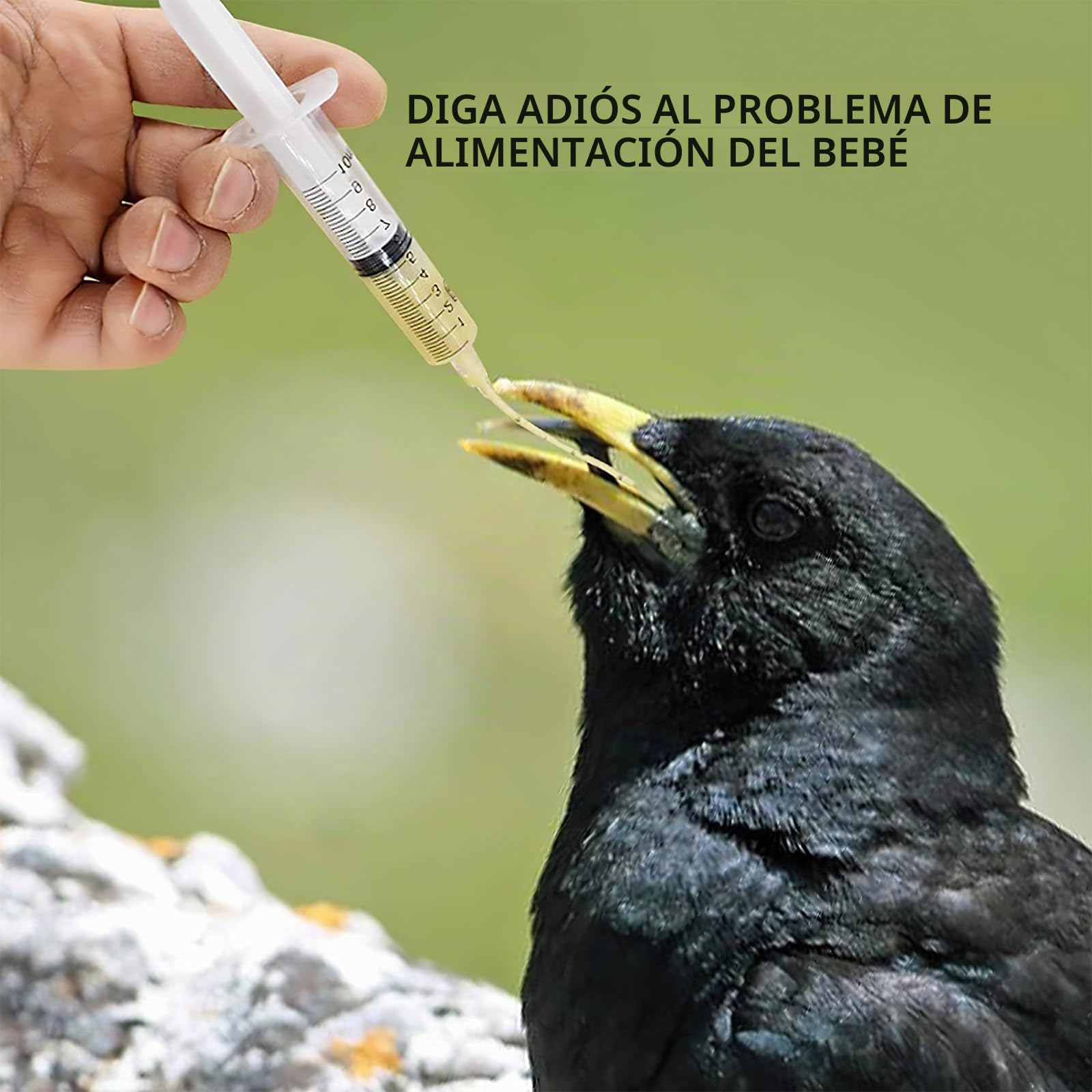 Jeringas de 10ml con 10 unidades de tubo, Set de alimentador para aves jóvenes, Jeringa con tubo, Accesorios para palomas, Disposición de pájaros bebé loros, Herramienta de alimentación manual, Para