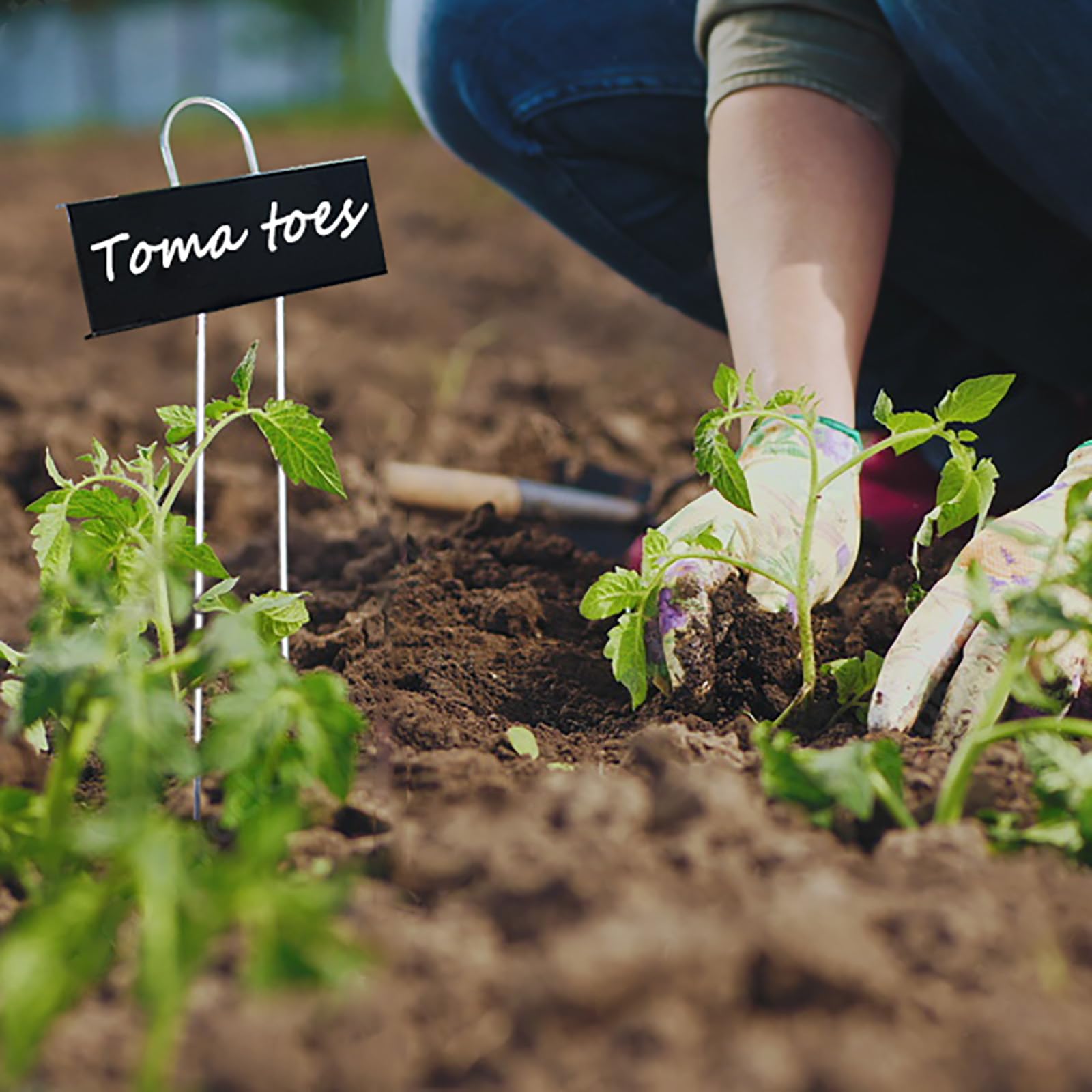 Lot de 30 étiquettes en métal en acier inoxydable résistant aux intempéries pour plantes de jardin avec stylo pour semis, fleurs, herbes, légumes (noir)