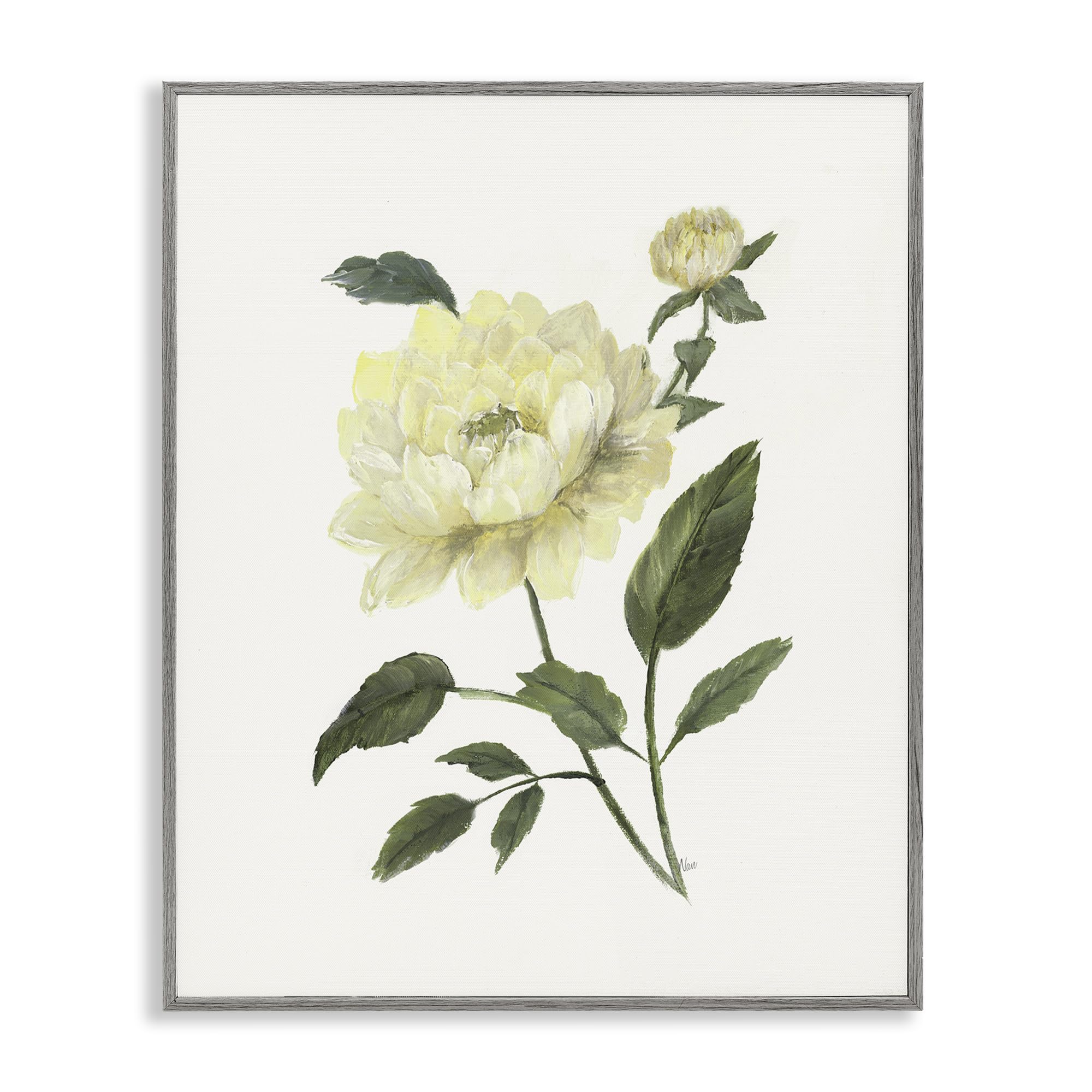 Stupell Industries 'Cream Garden Peony with Buds', Framed Giclee Art, Gray, 24 x 30 Inches, Easy to Hang and Sturdy, Made in USA, by Nan