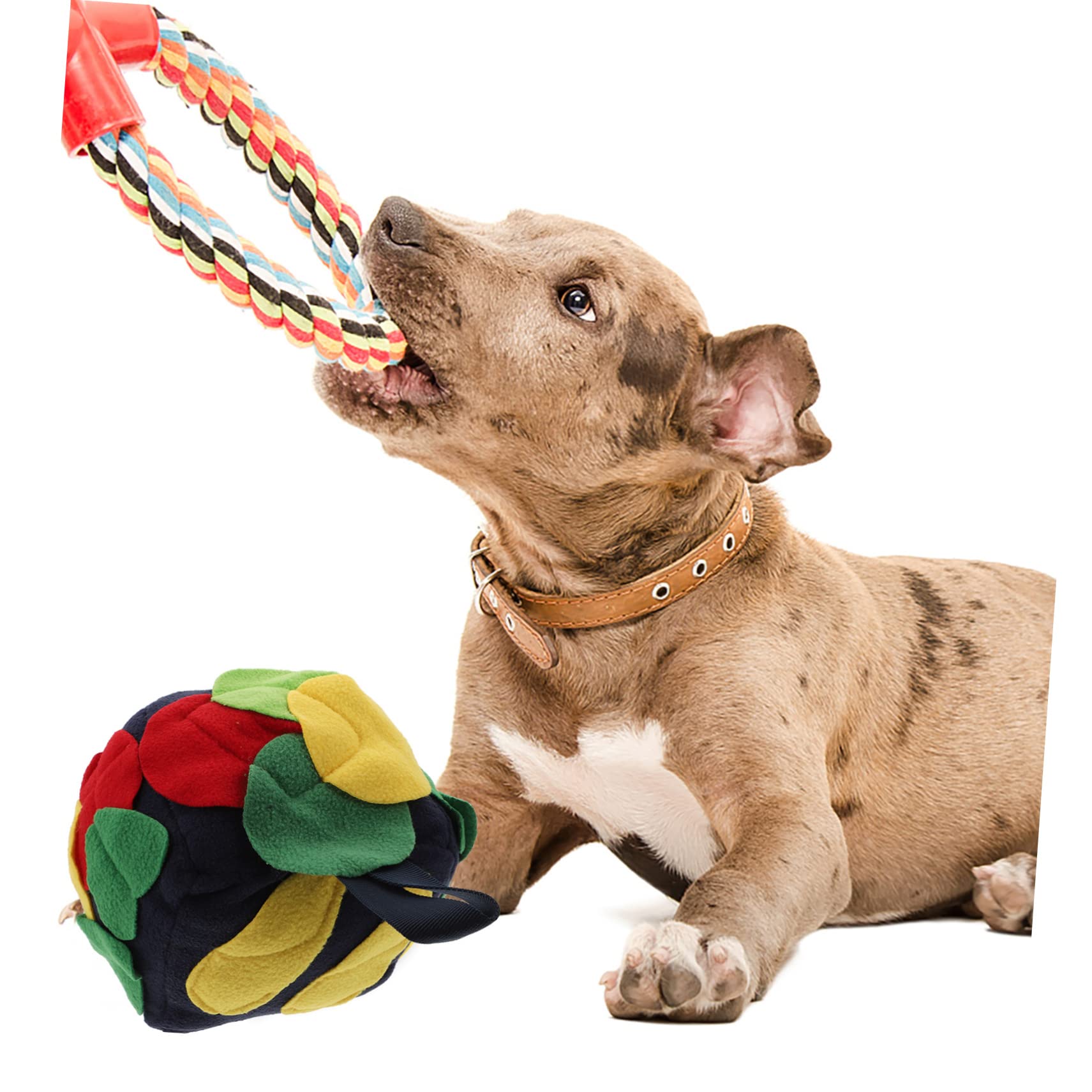 FRCOLOR 3stücke Hundeschnüffelball Interaktives Futterspielzeug Für Hunde Fördert Nasenarbeit Spielzeug Für Langsames Fressen Und Mentale Für Kleine Und Mittelgroße Hunde Retro