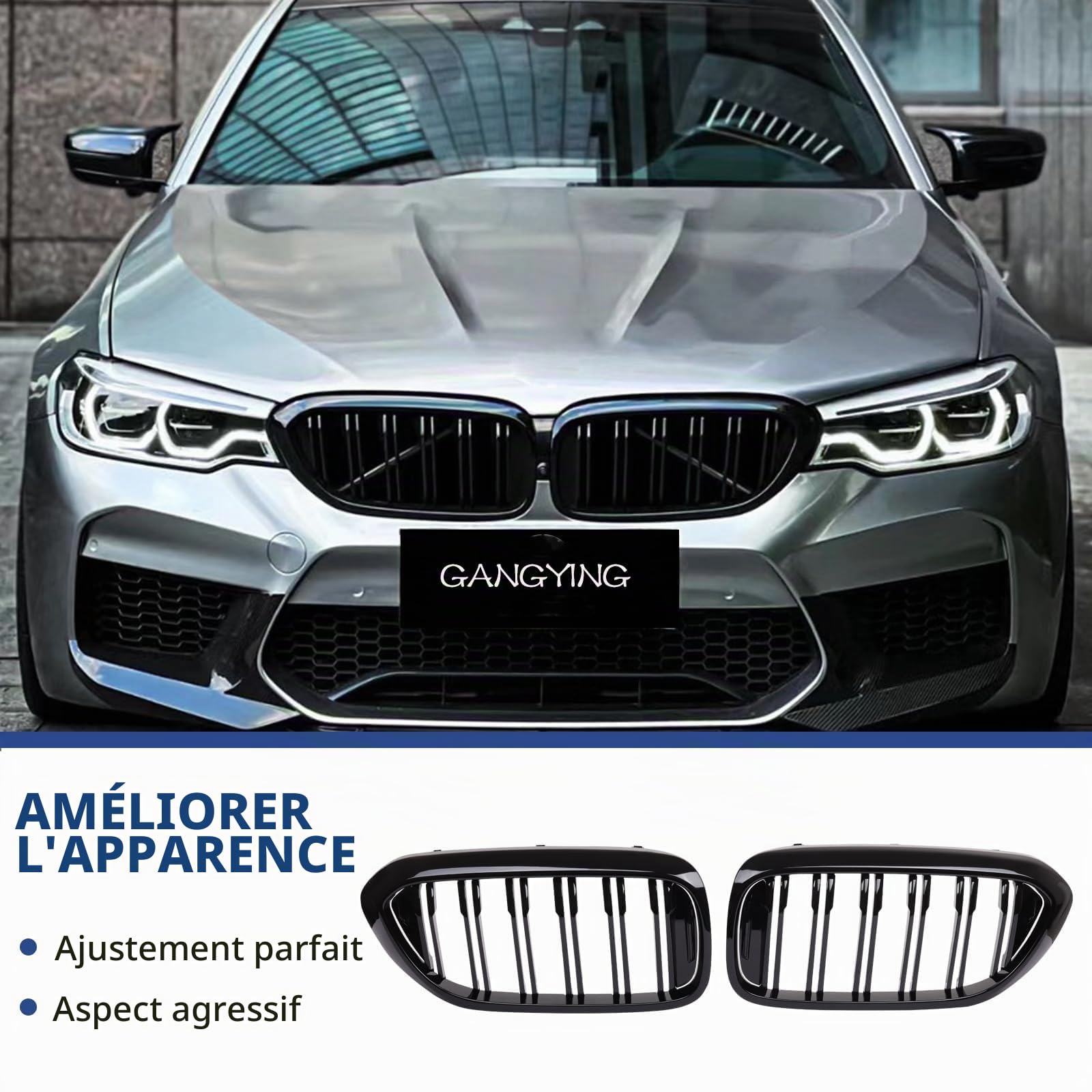 Kühlergrill Nieren Passend pour BMW 5er G30 G31 Pre-LCI 2017-2020