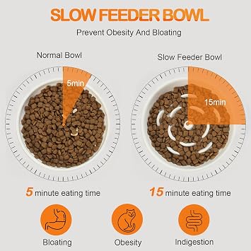 Raised Slow Feeder Cat Bowl, 15 CM Wide Shallow Ceramic Elevated Glass Food Bowl Puzzle Feeders, Anti Vomit Cat Dish, Whisker Friendly Pet Plates Feeding Station (1 Slow Feeder)
