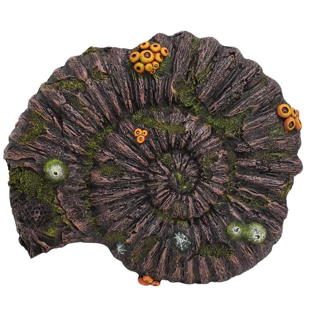 Nobby Aqua Ornaments AMMONITEN FOSSIL 33,8 x 28,5 x 10 cm