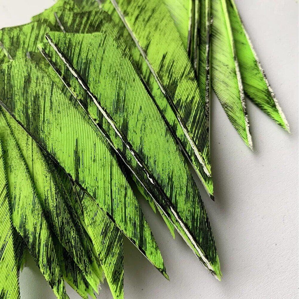Flèches De Chasse en Plumes, 50 Pièces, Bouclier De Palette De Tir À l'arc, Fletchings De pour Chasse, Tir sur Cible, Accessoires De