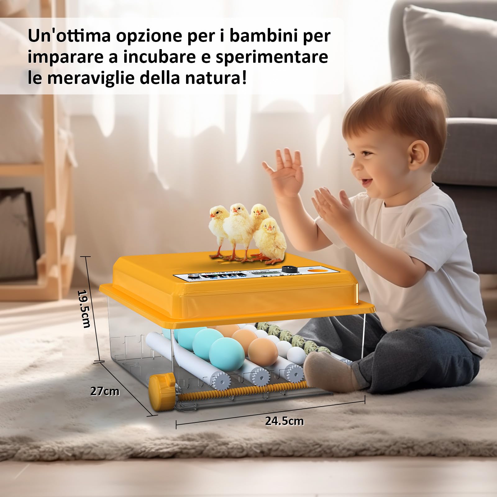 Incubatrice per Uova con Controllo della Temperatura e Rotazione Automatica per 16 uova, Incubatrice per Uova Automatica con rulli regolabili e aggiunta automatica di acqua