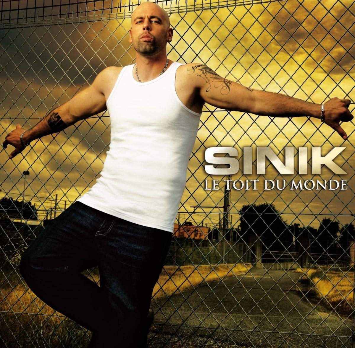 Le toit du monde [Bundle Audio + Video] (CD + DVD) [Audio CD] Sinik