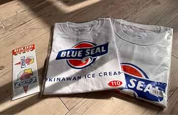 美品⭐︎BLUE SEAL Tシャツセット L M 110 90