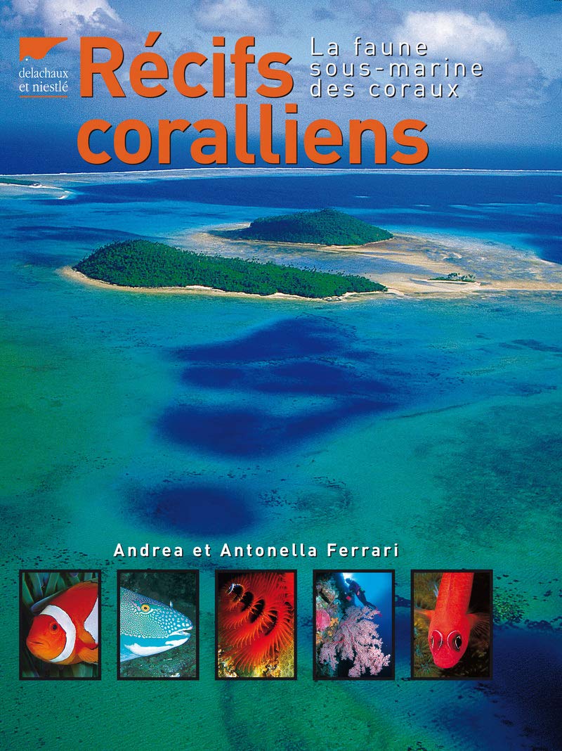 Récifs coralliens: La Faune sous-marine des coraux