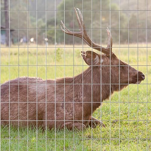 Miniatura 7 de AMAGABELI GARDEN & HOME Paño de hardware 36 pulgadas x 50 pies 2 "X4" galvanizado antes de soldar aberturas cuadradas calibre 15 rollo de valla de