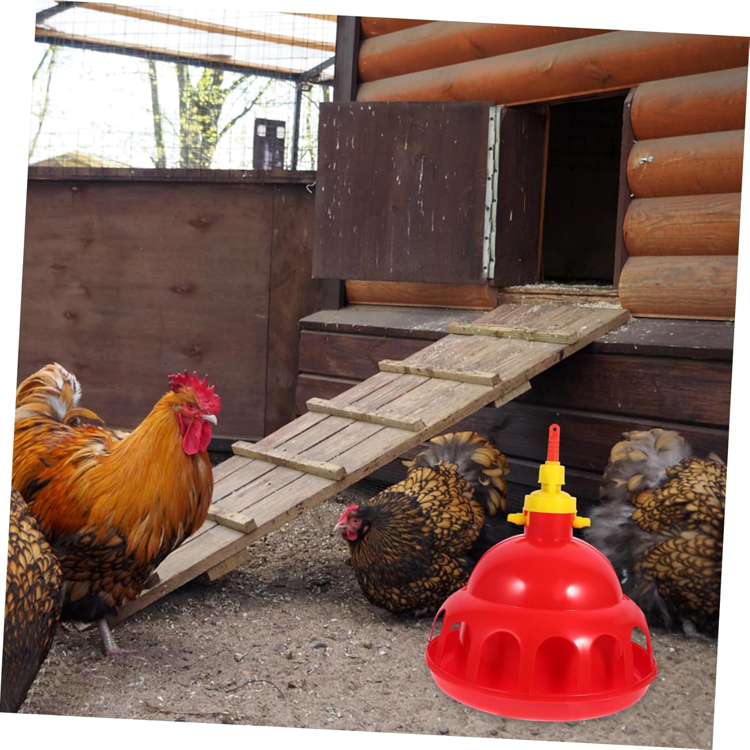 1Pc Thickened Poultry Water Drinker Automatic Dispenser for Chickens Ducks and Quails Convenient Red Water Feeding for Home and Farm Use