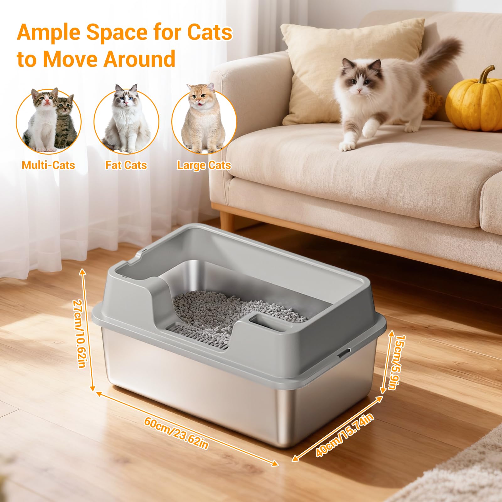 View 3