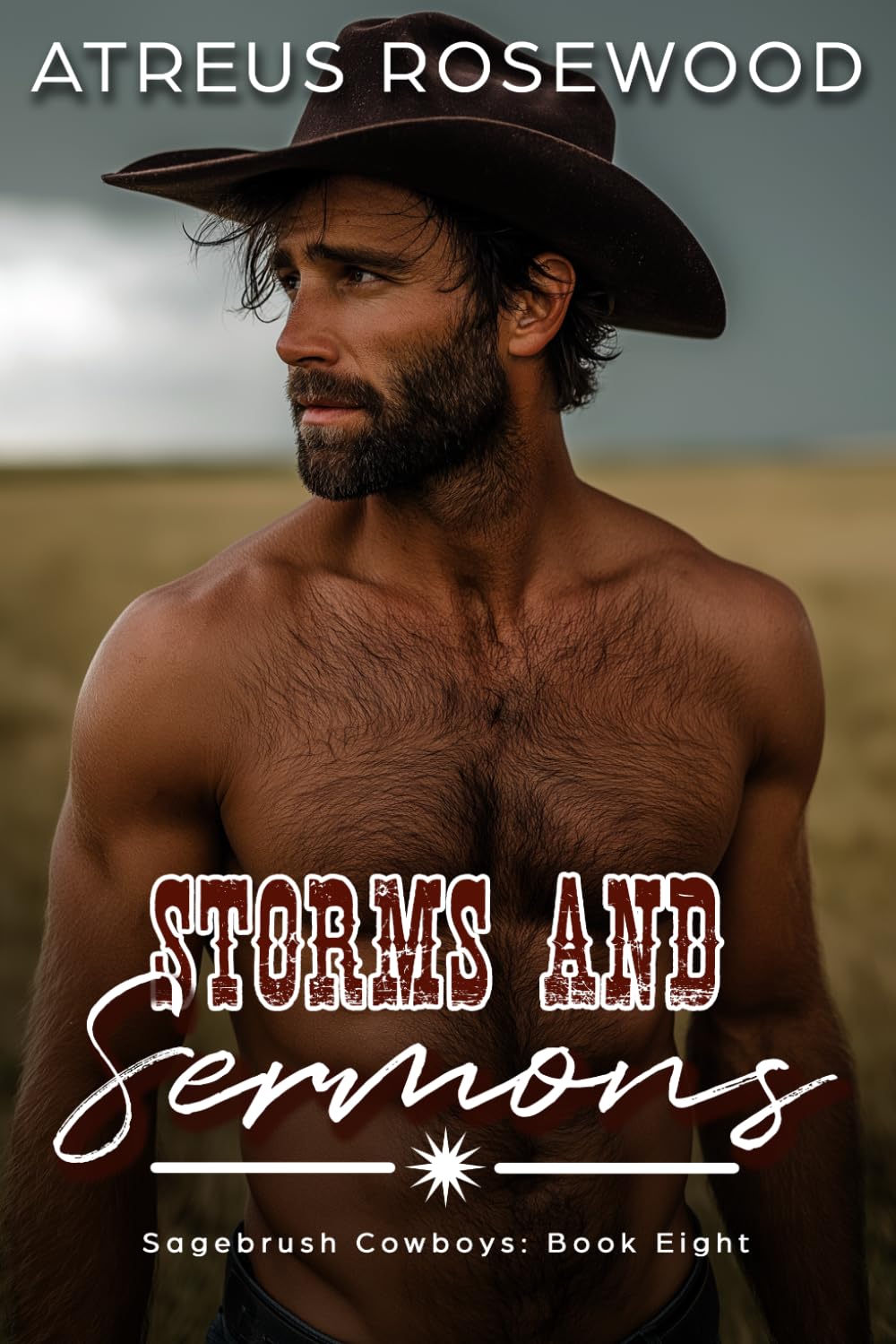 Storms and Sermons: A Sweet and Spicy MM Cowboy Romance (Sagebrush Cowboys)