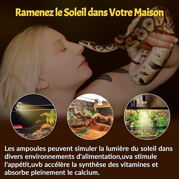 Bonlux E27 Ampoule Chauffante 50W Tortue Lampe Chauffante pour Animaux de Compagnie 220-240V UVA + UVB E27 Ampoule Reptile Aquarium, Ampoules pour Habitat pour Animaux (4pcs) - 5