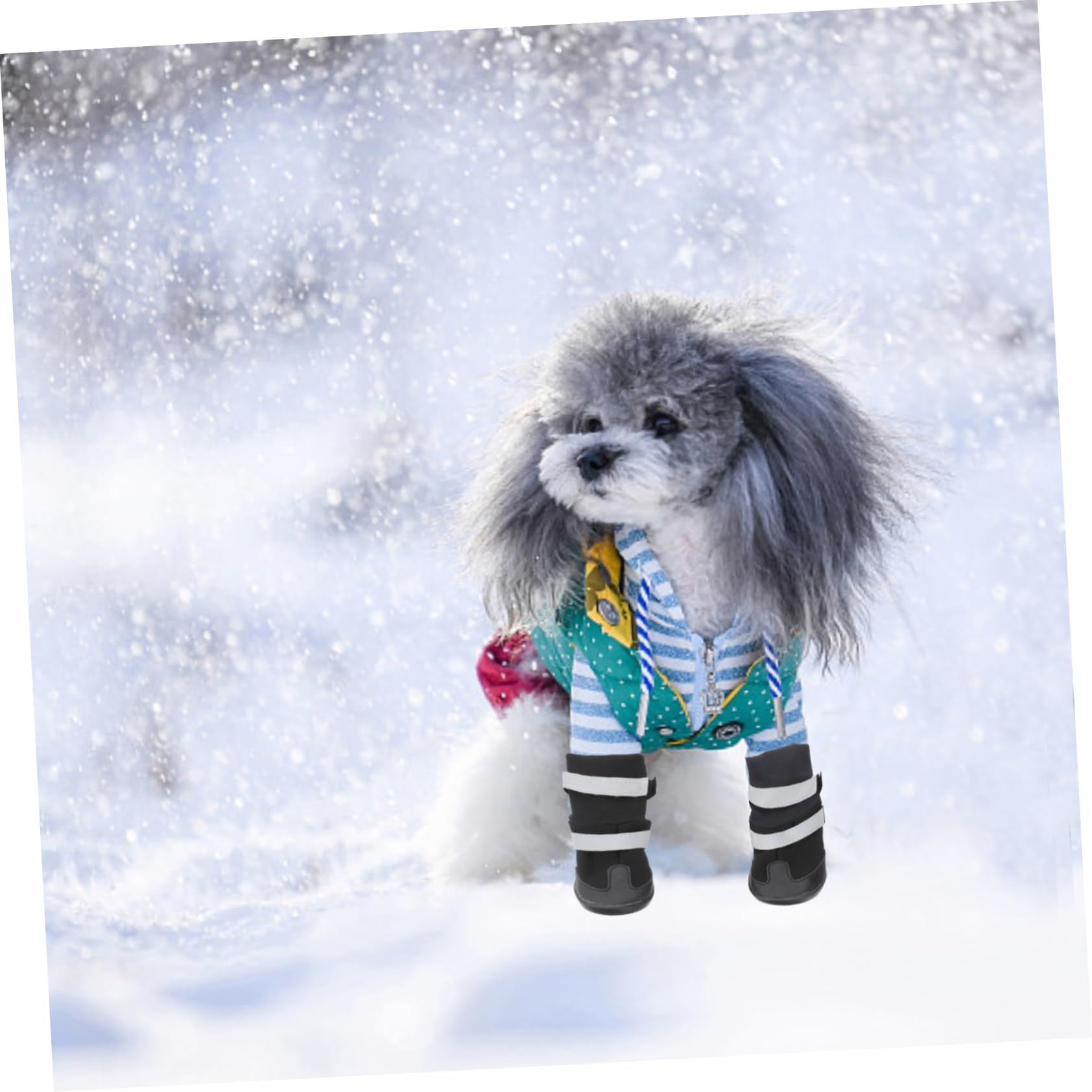 BESPORTBLE 8 Pièces Chaussures d'hiver pour pour pour Trottoir Chaud Antidérapants pour Animaux De Compagnie pour Chiens Petits Chaussures De
