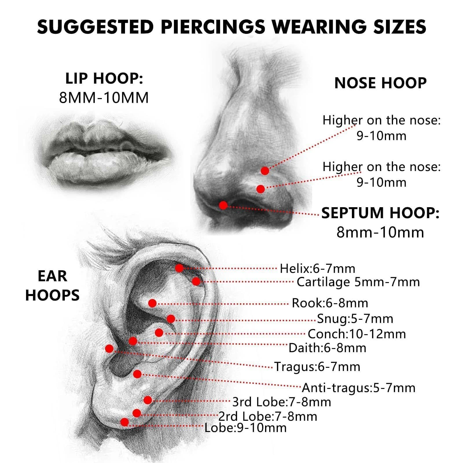 12 Piezas 18G Piercing Nariz Aros Septum Acero Noxidable Quirurgico, Cartílago Pendientes De Aro Bisagra Anillos Piercing Labio Helix Nariz 6mm / 8mm / 10mm — view 6