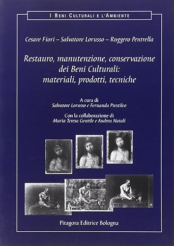 Restauro, manutenzione, conservazione dei beni culturali: materiali, prodotti, tecniche. Con CD-ROM