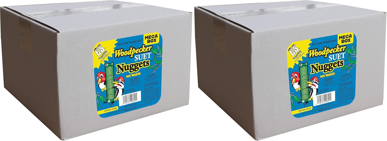 8 Pound (Pack of 2)