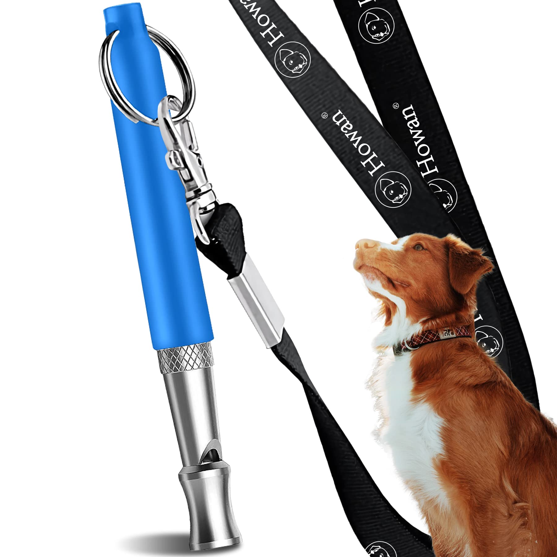 What Does Dog Whistle Do To Dogs