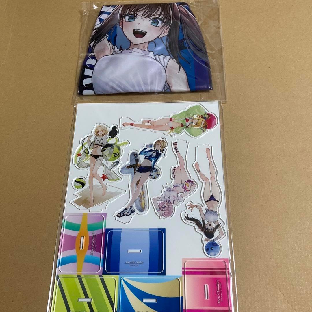 FGO Fate TYPE-MOON 型月 C102 ヒロイン ビーチボール ② FGO Fate TYPE-MOON 型月 C102 ヒロイン ビーチボール ② FGO Fate