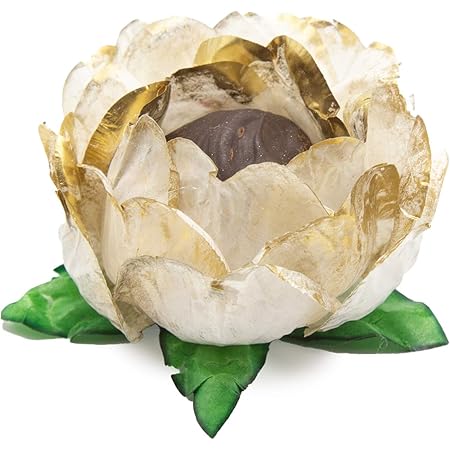 Amazon.com: DOITOOL 200pcs Truffle Wrappers Paper Chocolate Candy Cups ...
