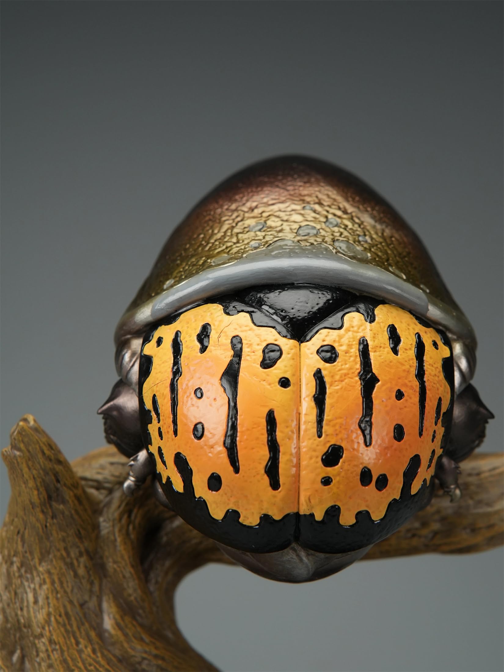 Amazon | BACALYSO | 博物志 ヘラクレスオオカブト 限定版 PLUS 30CM級 