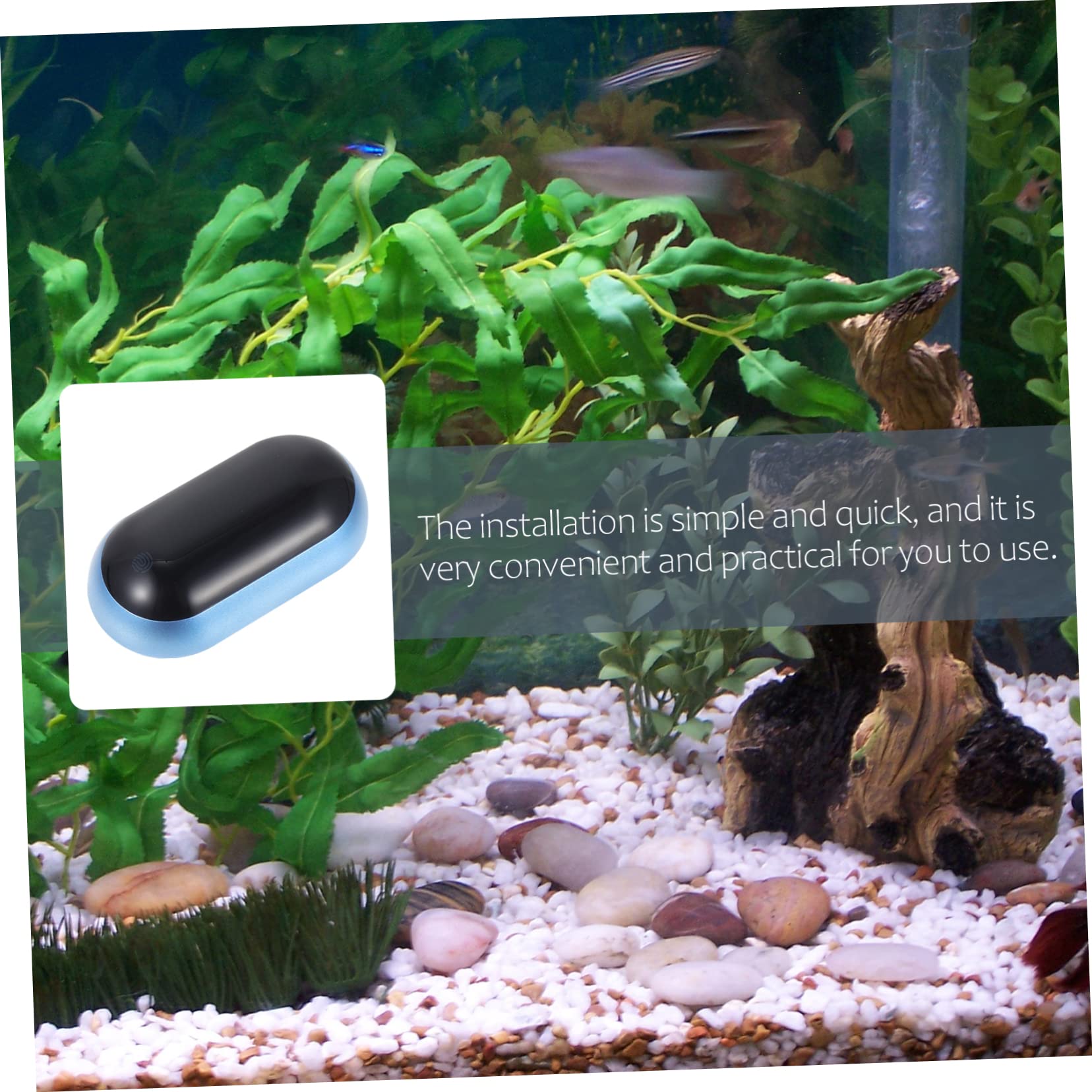 Toddmomy 3pezzi Termometro Per Acquario Con Display Lcd Misurazione Precisa Della Temperatura Per Terrari e Pesci Facile Installazione e Alta Durabilità Strumento Per Appassionati Di
