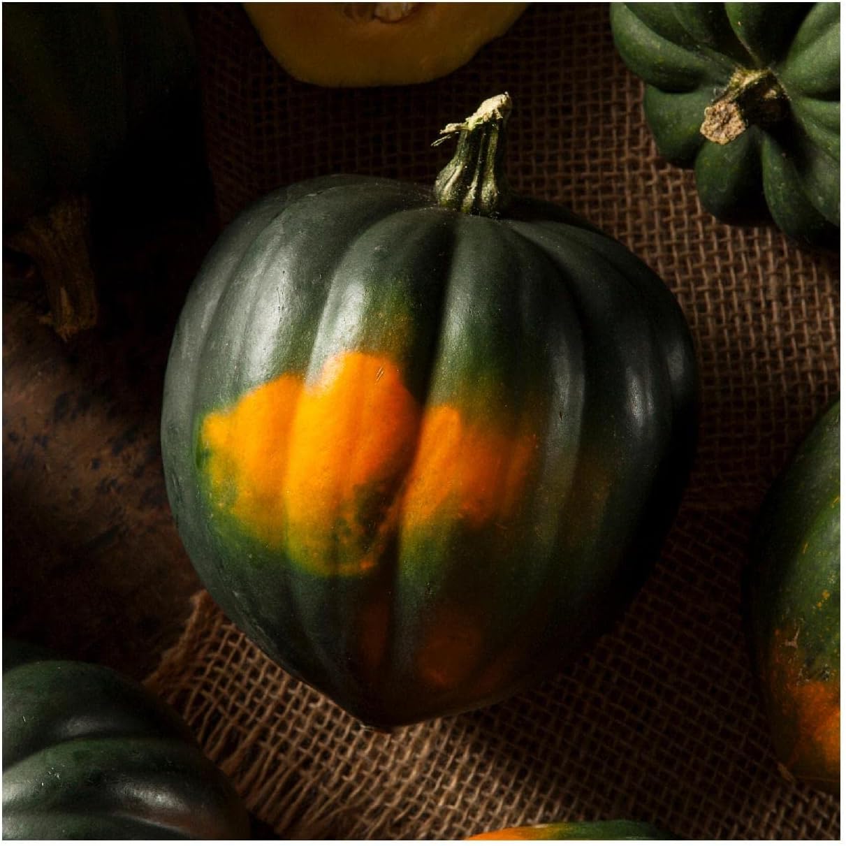 Everwilde Farms - 1 Lb Table King Acorn Winter Squash Seeds - Gold Vault