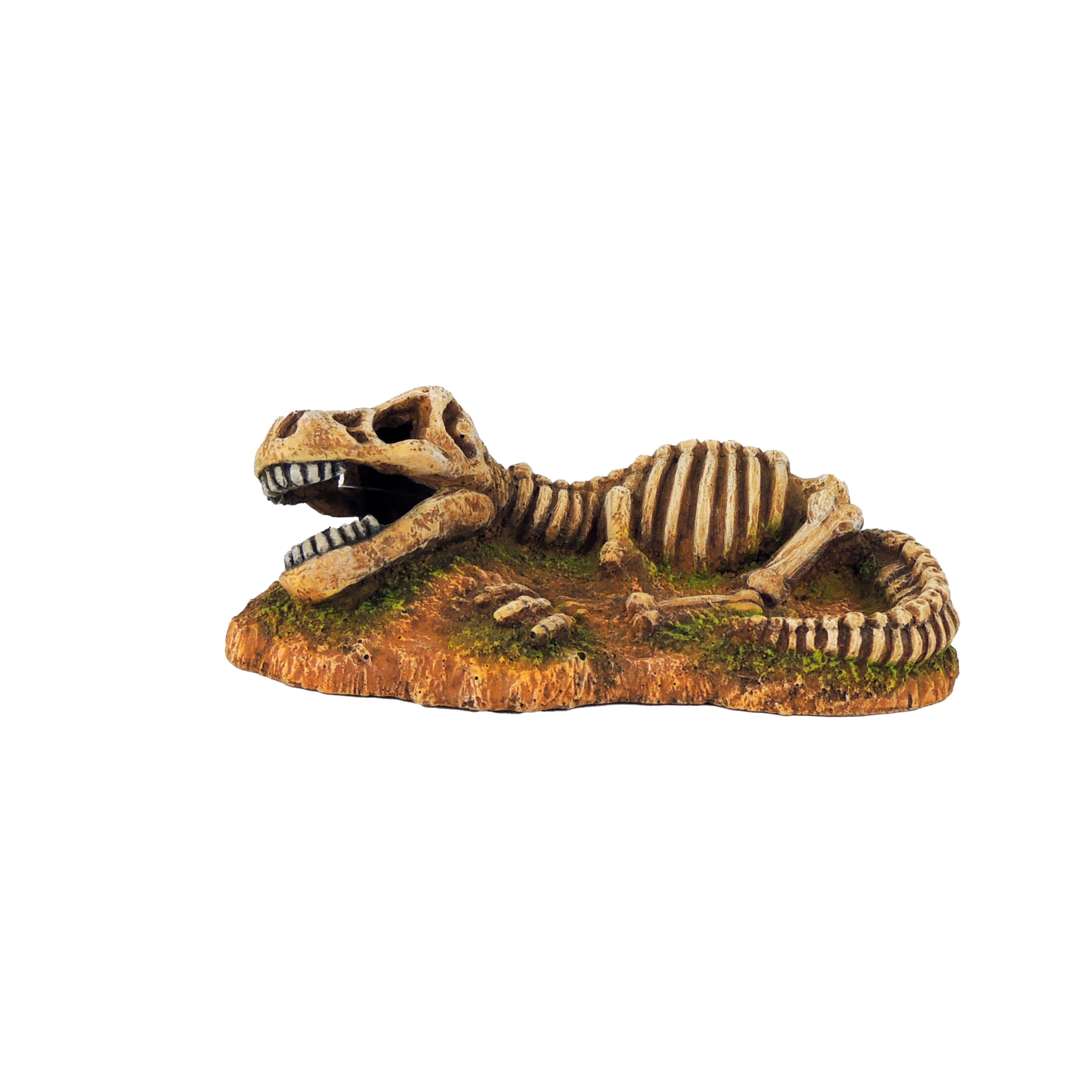CLASSIC Dinosaur Fossil Skeleton Aquarium Ornament – Prehistoric Fish Tank Decoration – 170x91x60mm