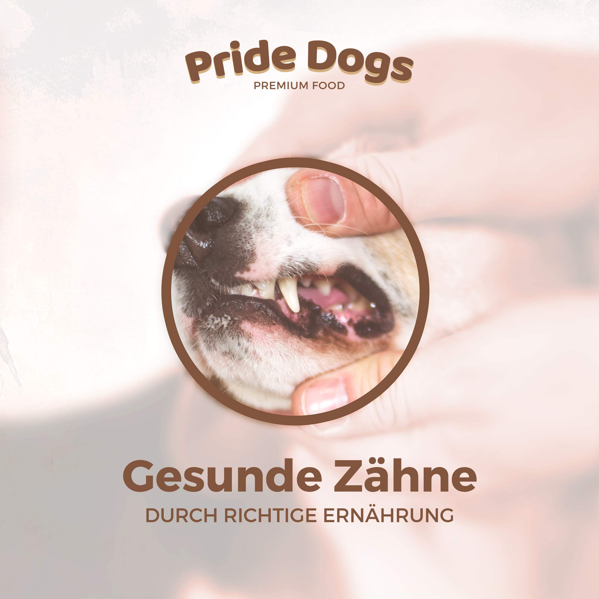 PrideDogs Piel de Cabeza de vacuno 20 cm 500 g de la Premium Kausnack para su perro, 100% vacuno de fabricación alemana, en bolsa inodora