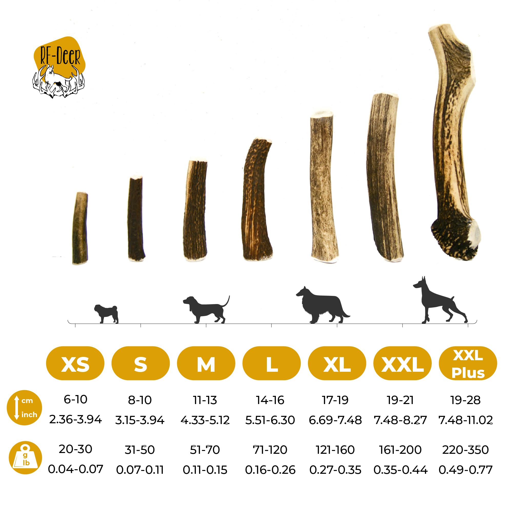 Poroże jelenia, naturalna przekąska dla psów, zdrowa zabawka dla psów, kość do żucia i pielęgnacji zębów, twarda, rozmiar S, 31-50 g, 8-10 cm