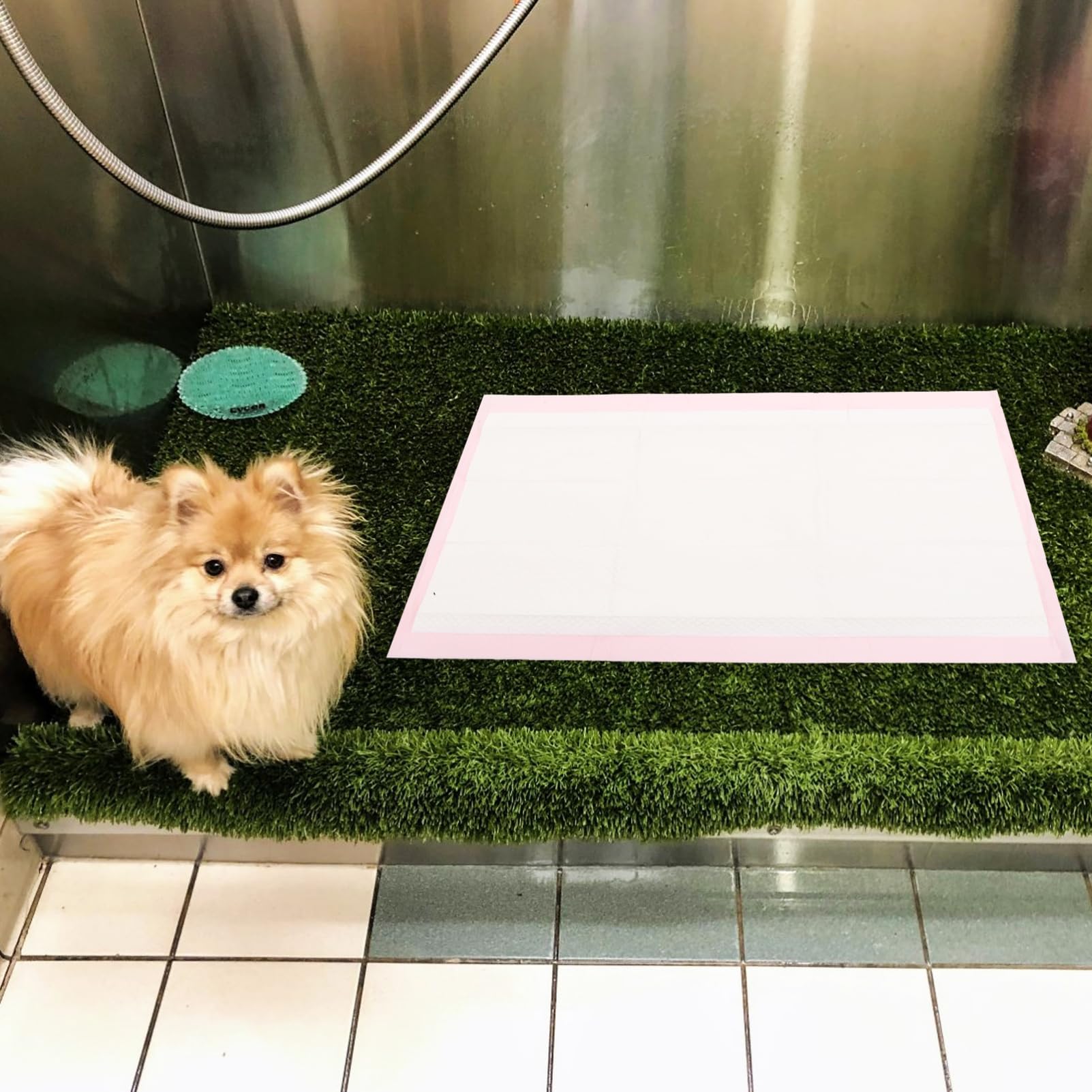 COLLBATH Welpen-Pads Waschbar Hunde Schutz Auslaufsichere Trainingspads Für Hunde Und Welpen Haustier-PIPI- Einweg- Für Kleine